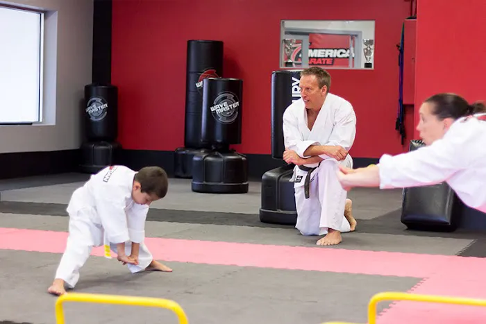 American Karate Picture 3