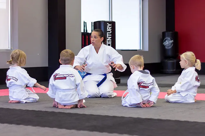 American Karate Picture 1