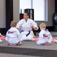 American Karate ico