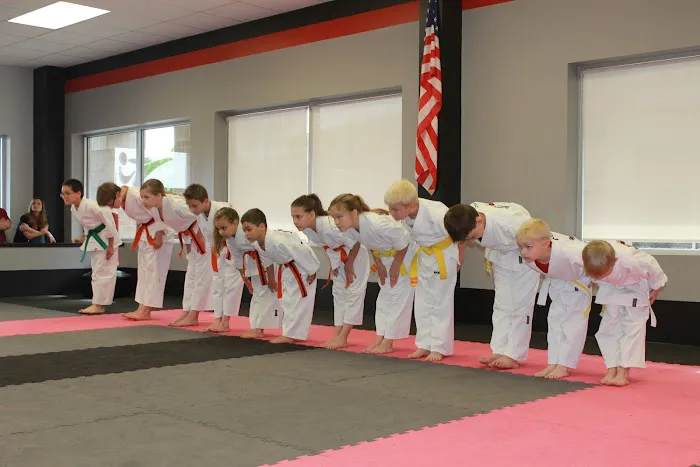 American Karate Picture 5