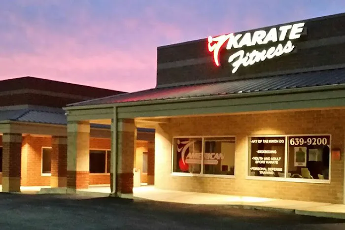 American Karate Picture 10
