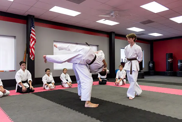 American Karate Picture 9