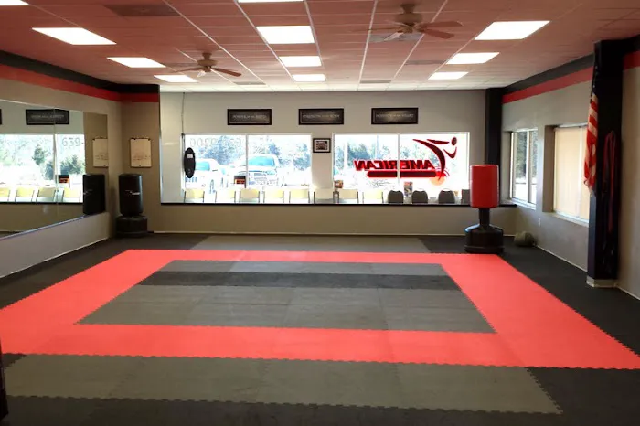American Karate Picture 8