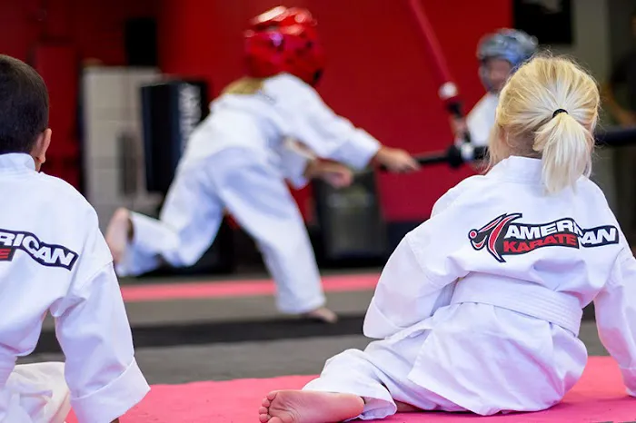 American Karate Picture 2