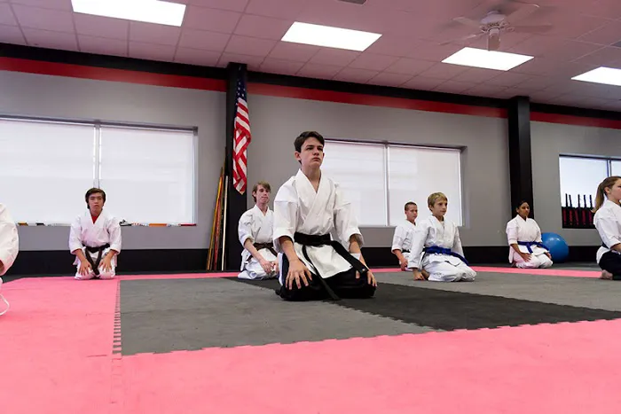 American Karate Picture 7