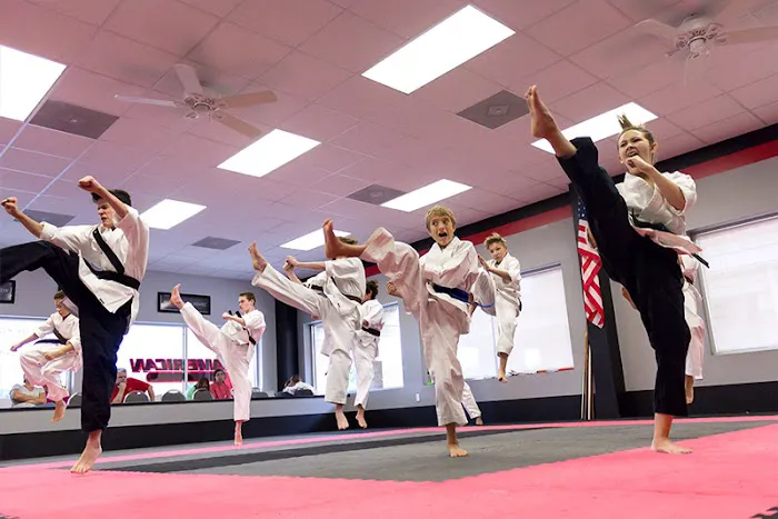 American Karate Picture 6