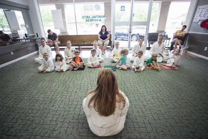 Blue Wave Martial Arts and Fitness Picture 9