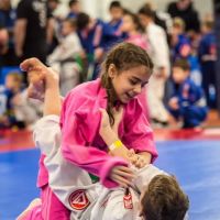 Gracie Barra Collinsville Brazilian Jiu-Jitsu and Self Defense ico