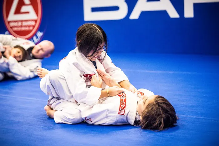 Gracie Barra Collinsville Brazilian Jiu-Jitsu and Self Defense Picture 4