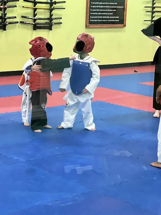 Master Lim's Martial Arts Picture 5