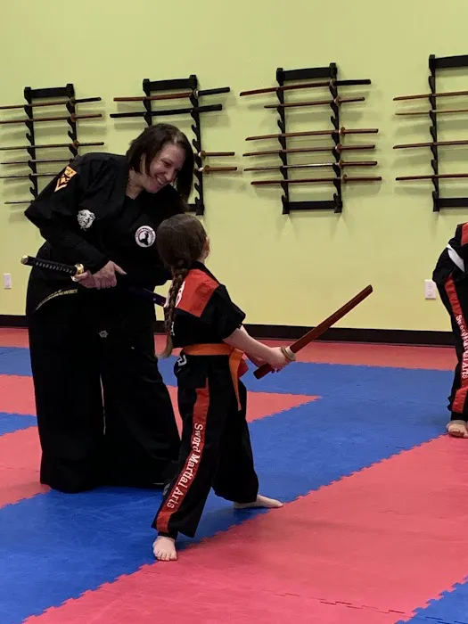 Master Lim's Martial Arts Picture 1