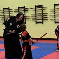 Master Lim's Martial Arts ico