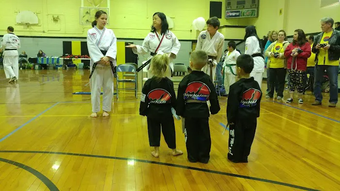 Boyer Academy Picture 8