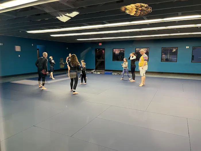 SIMS Martial Arts Academy | 10th Planet Jiu Jitsu Waterloo Picture 2