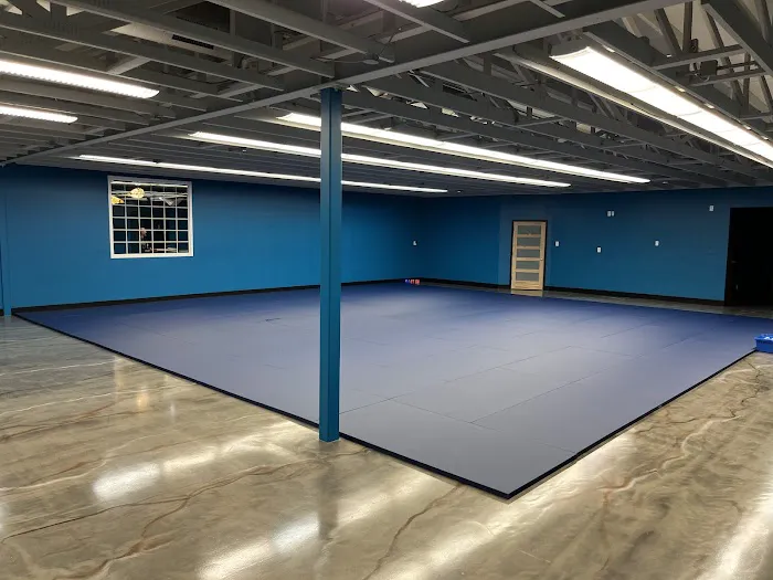 SIMS Martial Arts Academy | 10th Planet Jiu Jitsu Waterloo Picture 3