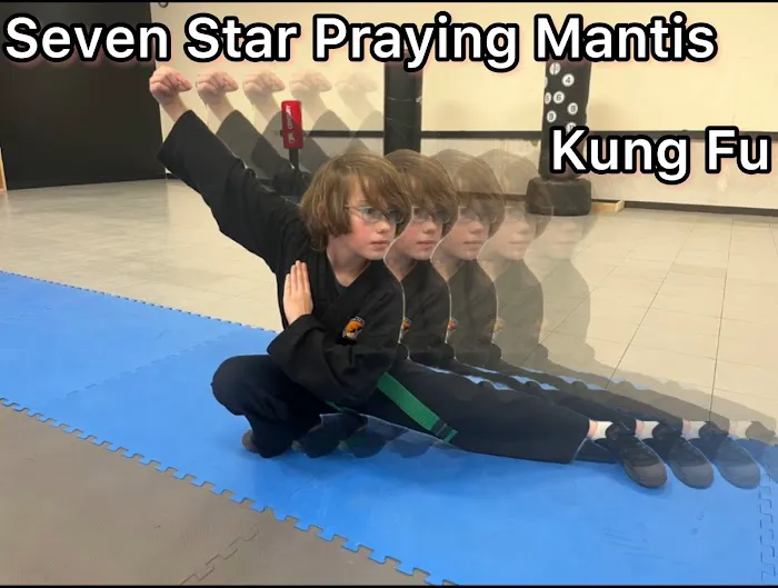 Hoyle's Kung Fu, Fitness, & Tai Chi Picture 7