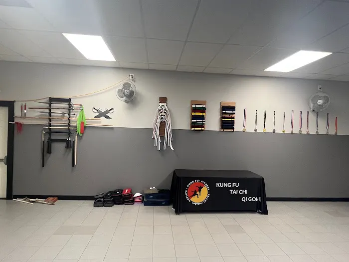 Hoyle's Kung Fu, Fitness, & Tai Chi Picture 3