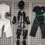 Hoyle's Kung Fu, Fitness, & Tai Chi