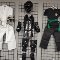 Hoyle's Kung Fu, Fitness, & Tai Chi ico
