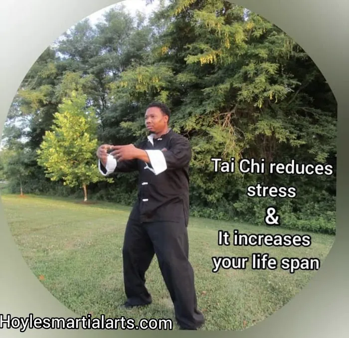 Hoyle's Kung Fu, Fitness, & Tai Chi Picture 2