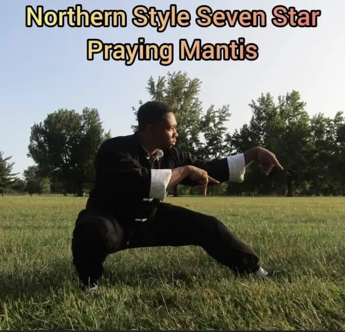 Hoyle's Kung Fu, Fitness, & Tai Chi Picture 6