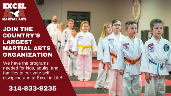 Martial Arts - Warrenton, MO Picture 5