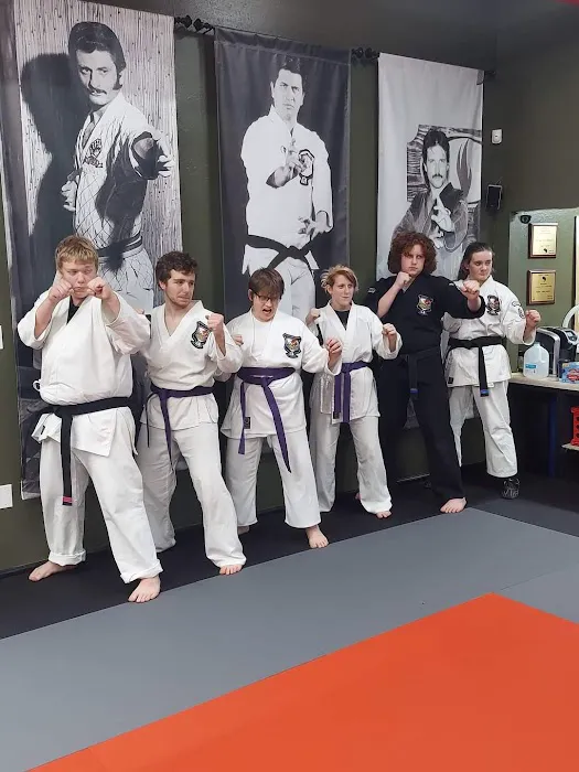 Rising Star Martial Arts Picture 2