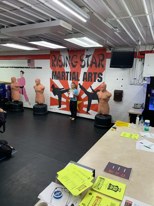 Rising Star Martial Arts Picture 4