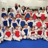 Tectonic Taekwondo ico