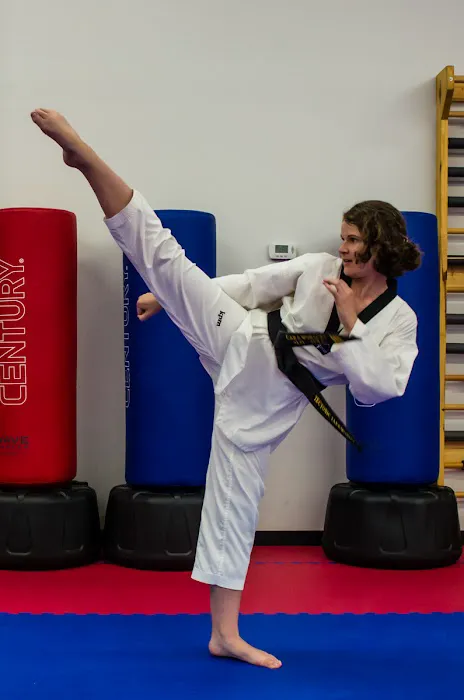 Tectonic Taekwondo Picture 4