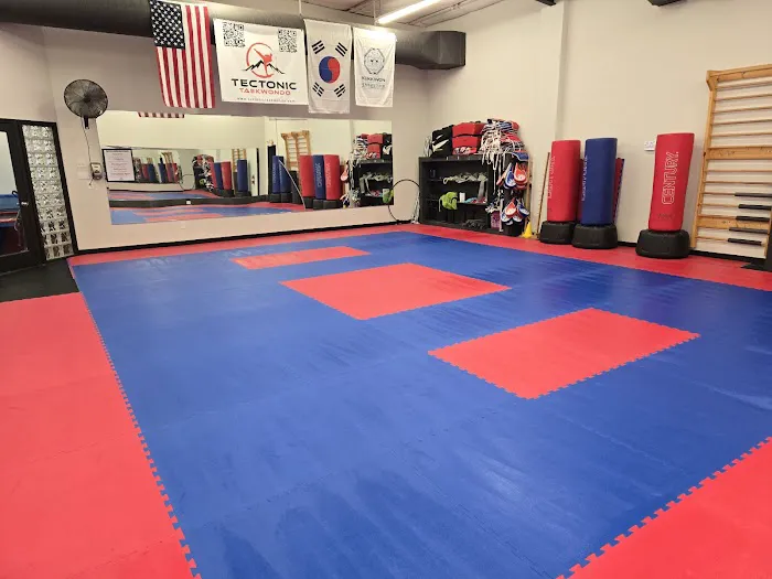 Tectonic Taekwondo Picture 5