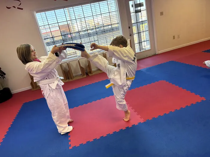 Elite Taekwondo Martial Arts Picture 6