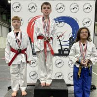 Elite Taekwondo Martial Arts ico
