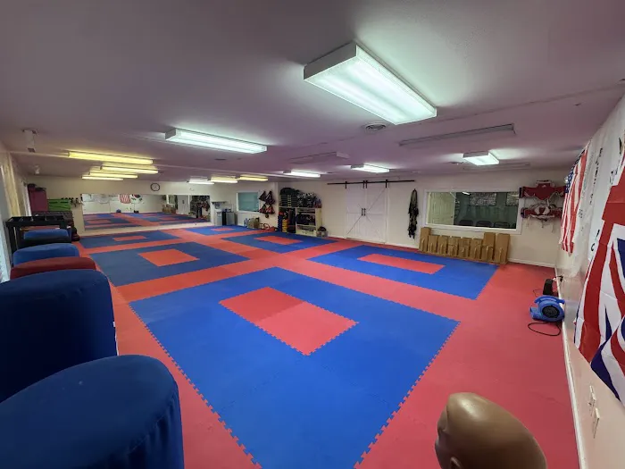Elite Taekwondo Martial Arts Picture 4