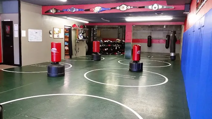 Hahn Extreme Fitness & Martial Arts Center, LLP Picture 2