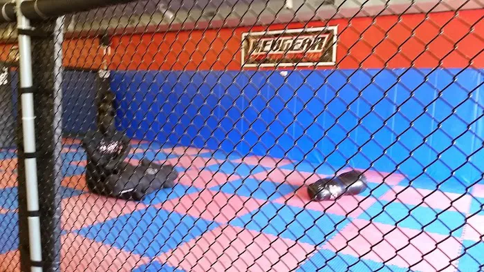 Hahn Extreme Fitness & Martial Arts Center, LLP Picture 6