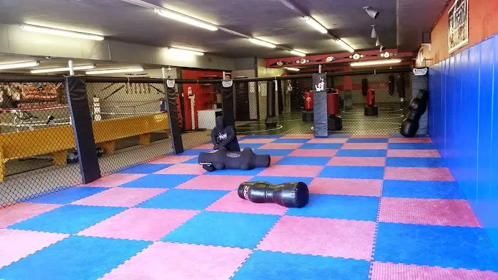 Hahn Extreme Fitness & Martial Arts Center, LLP Picture 1