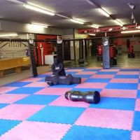 Hahn Extreme Fitness & Martial Arts Center, LLP ico