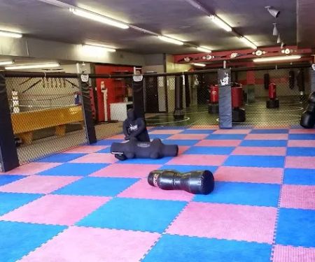 Hahn Extreme Fitness & Martial Arts Center, LLP