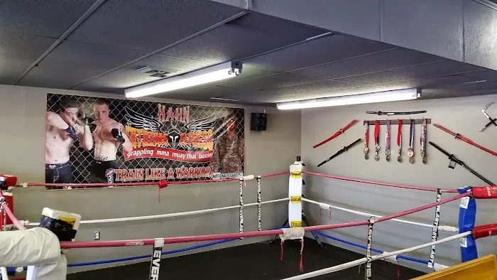 Hahn Extreme Fitness & Martial Arts Center, LLP Picture 5