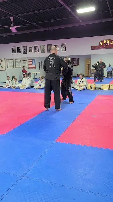 Song Martial Arts Picture 1