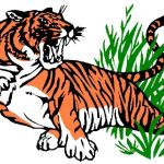 Millburg's Taekwondo