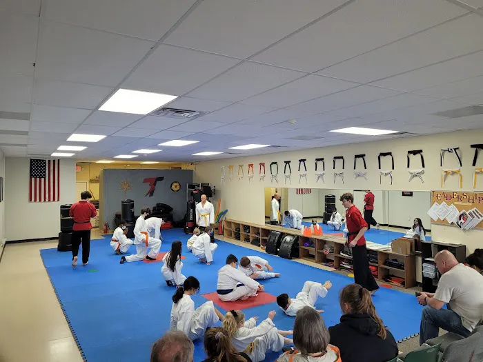 Championship Martial Arts - Swansea Picture 4