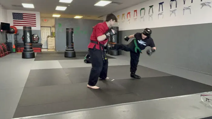 Championship Martial Arts - Swansea Picture 5