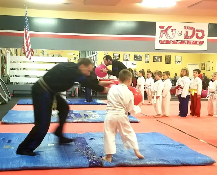 Ki-Do Karate Inc Picture 3