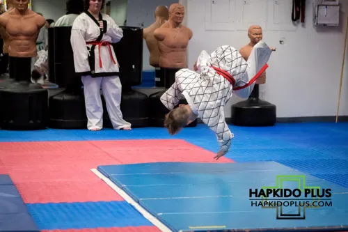 Hapkido Plus Martial Arts Picture 5