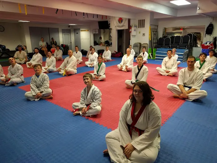 Hapkido Plus Martial Arts Picture 2