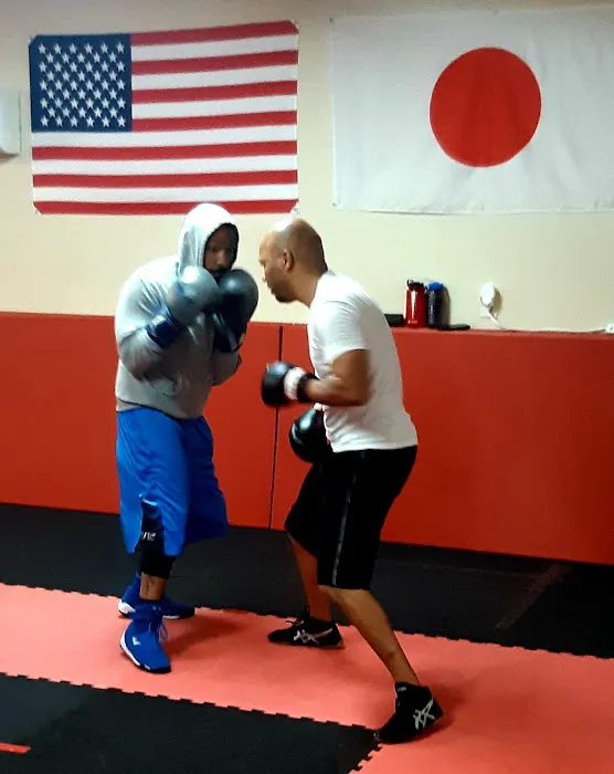 Eagle & Dragon Martial Arts Academy Picture 4