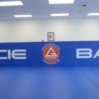 Gracie Barra Washington ico