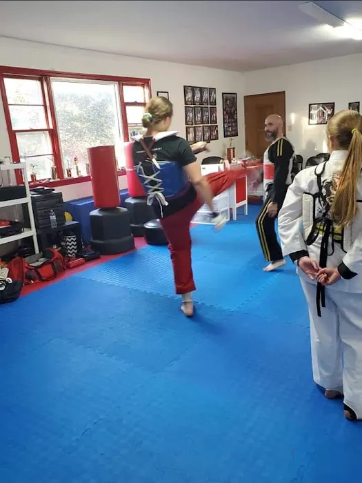 Twin Dragons Taekwondo II Picture 1